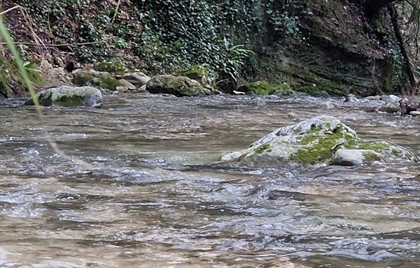 Giornata mondiale dell’acqua, Capello (Fedagripesca), “Allevamenti italiani tra i più virtuosi per risparmio idrico, non demonizzarli”